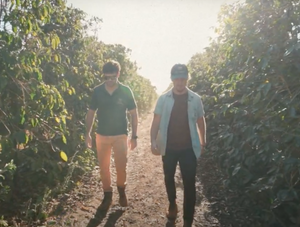 Backpackers Blend- 5 lb bag