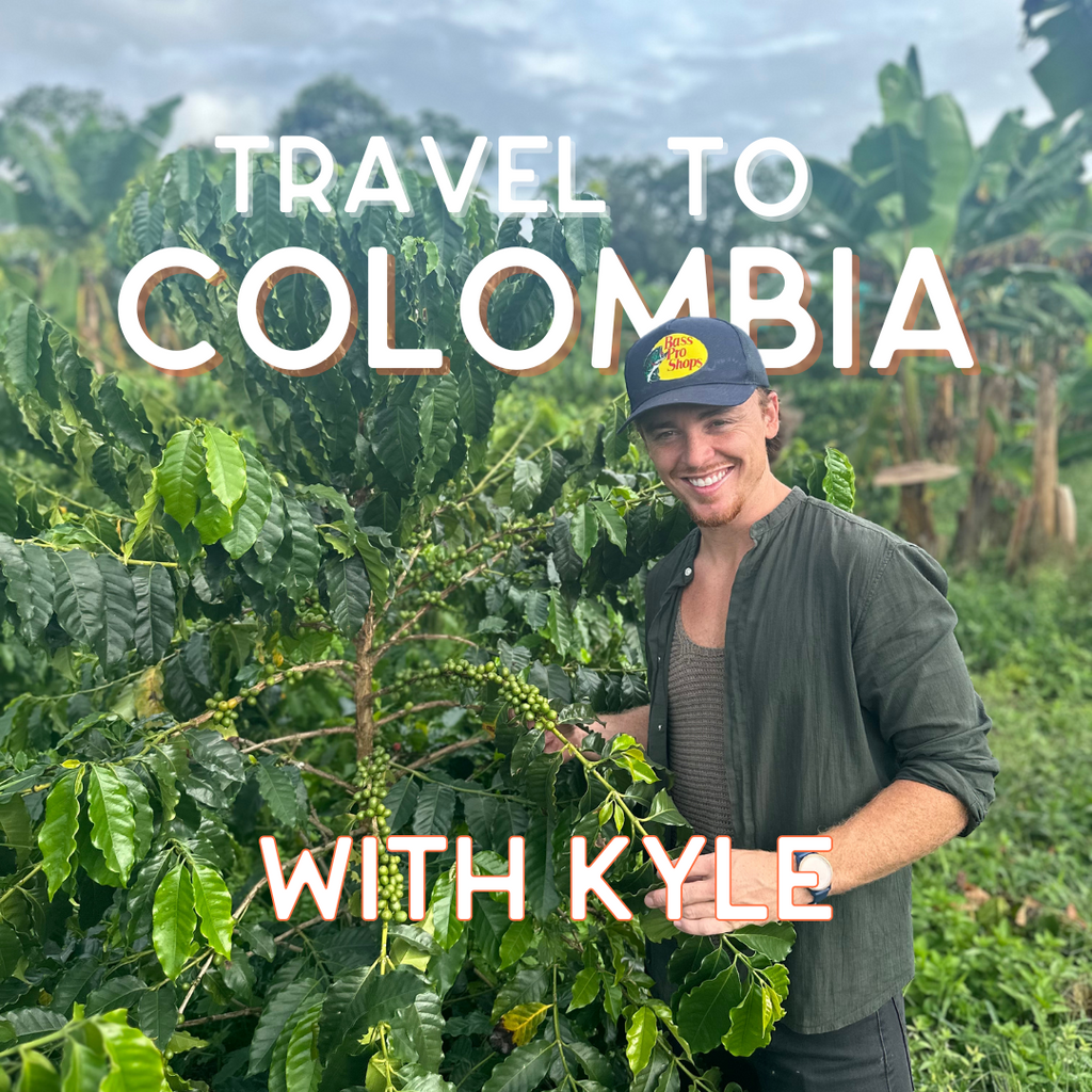 2025 Coffee Farm Tour (deposit)